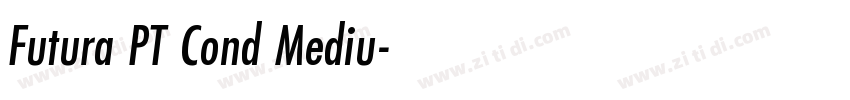 Futura PT Cond Mediu字体转换